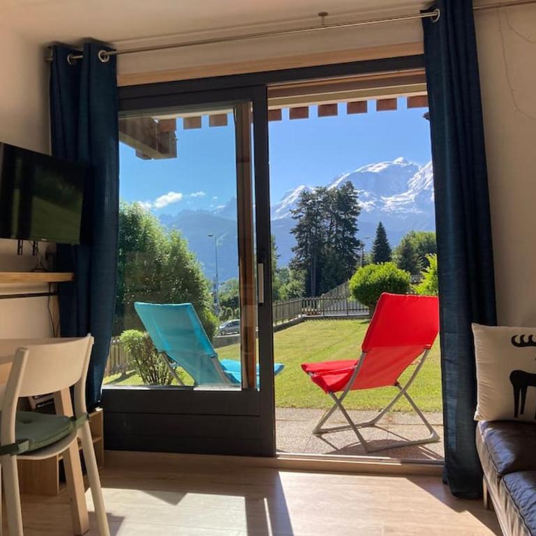 La marmotte: Vue Mont Blanc, terrasse, parking - Appartement 2 Chambres avec Vue sur la Montagne - 29