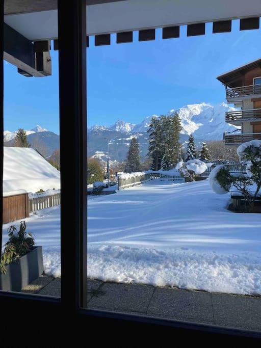 La marmotte: Vue Mont Blanc, terrasse, parking - Appartement 2 Chambres avec Vue sur la Montagne - 30