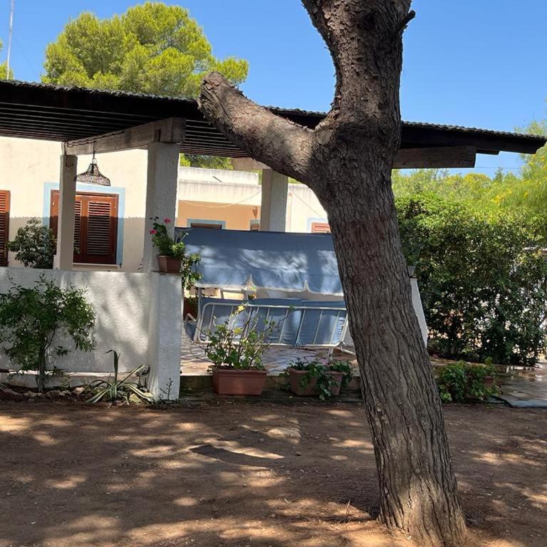 VILLETTA OASI - Villa - 5
