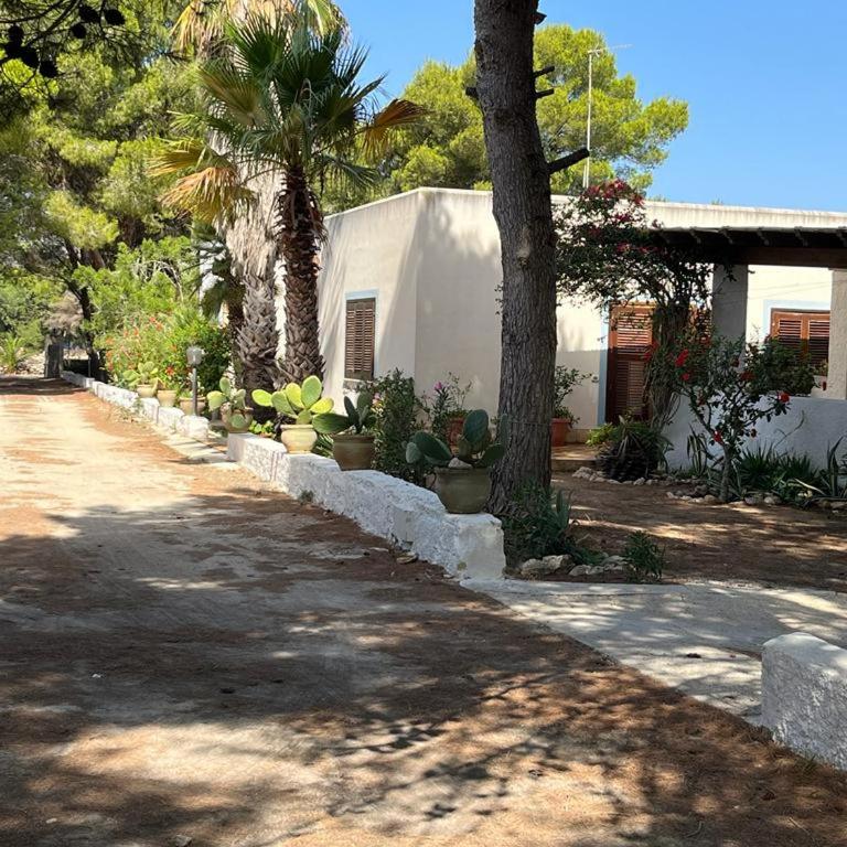 VILLETTA OASI - Villa - 8