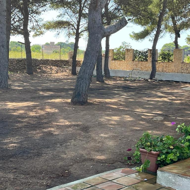VILLETTA OASI - Villa - 17