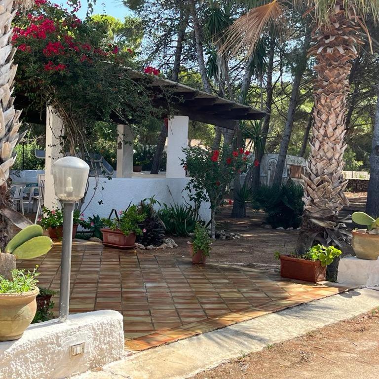 VILLETTA OASI - Villa - 18