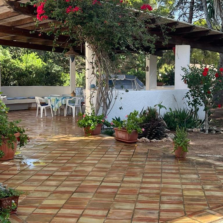 VILLETTA OASI - Villa - 19