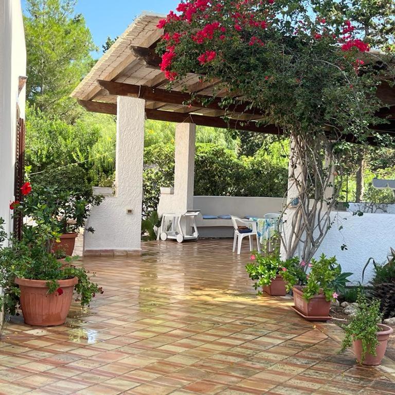 VILLETTA OASI - Villa - 21
