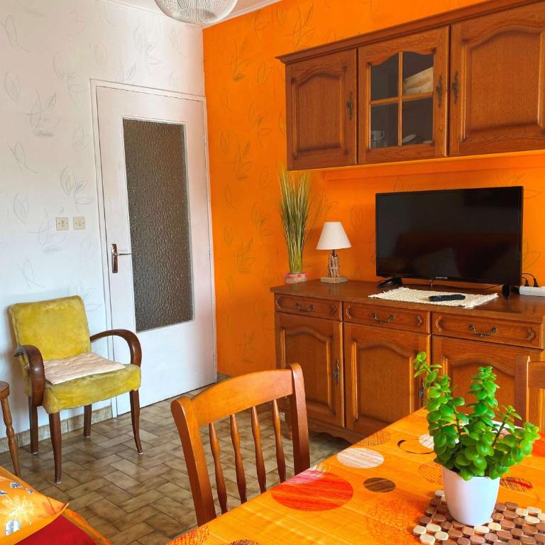 Appartement T2 avec loggia, proche centre et étang de Thau - calme, équipé, 34540 Balaruc-les-Bains - FR-1-553-251 - Apartment - 4