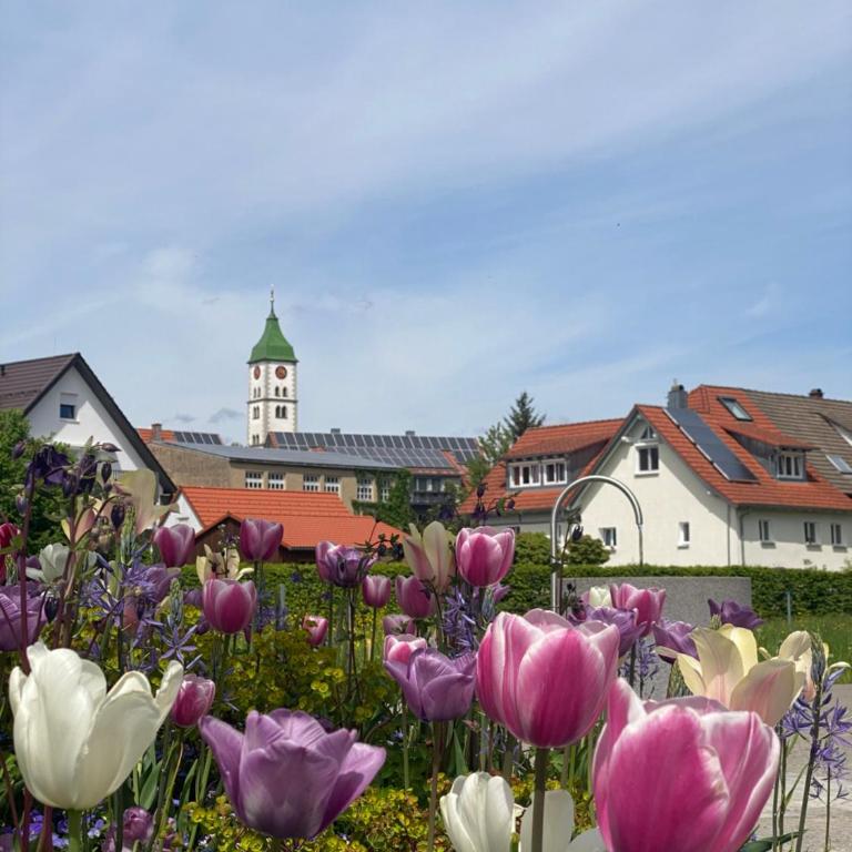 Schöne Wohnung in der Altstadt - Apartment mit 1 Schlafzimmer - 38