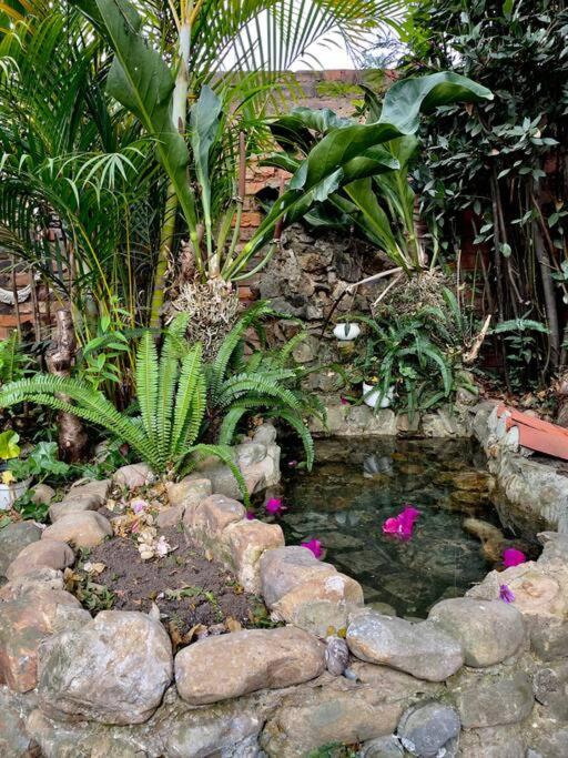 The tea house - Five-Bedroom House - 34