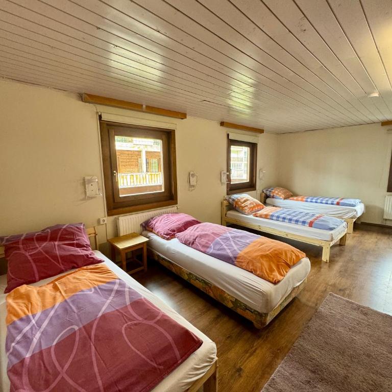 SKILL Mountain Lodge - Ski und Bike Hostel im Sommer mit JOKER CARD - Economy Vierbettzimmer mit Gemeinschaftsbad - 1