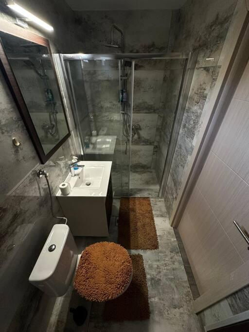 Modular House New Belgrade - Apartman sa 1 Spavaćom Sobom - 6