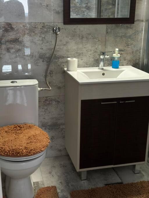 Modular House New Belgrade - Apartman sa 1 Spavaćom Sobom - 11