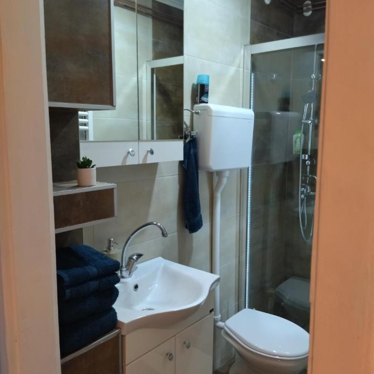 Apartman Perusic - One-Bedroom Apartment - 12