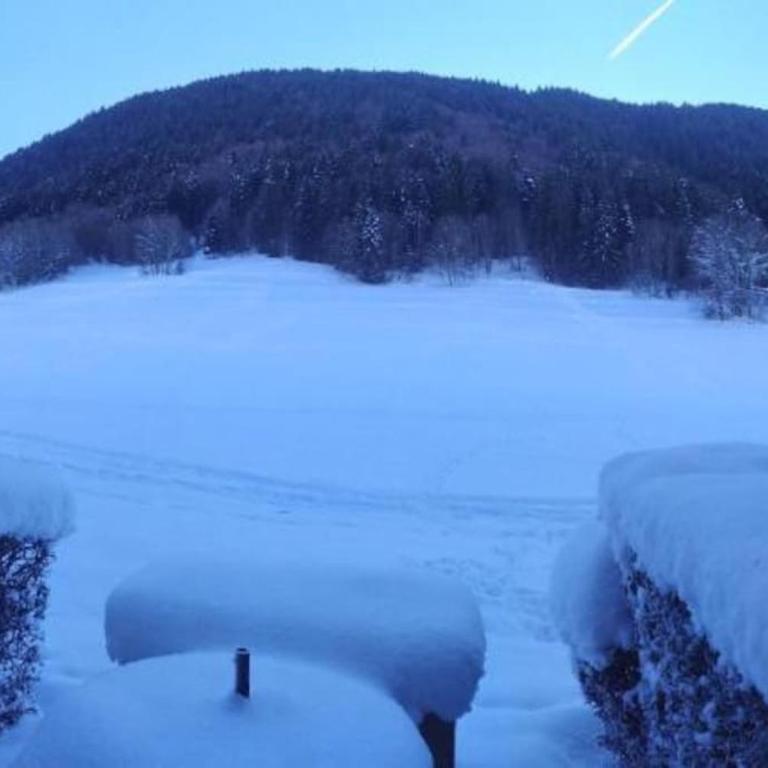studio terrasse de charme près des pistes - Studio mit Bergblick - 26