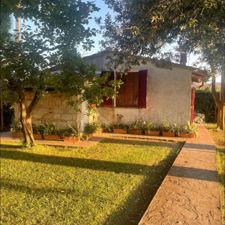 Garden Guest House - Chalet con 1 Camera da Letto - 48