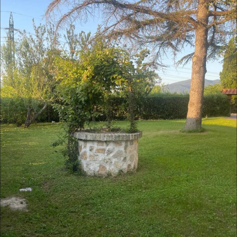 Garden Guest House - Chalet con 1 Camera da Letto - 66