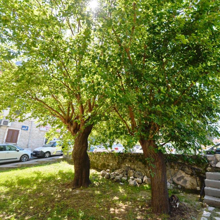 Old Town View - Sunny, Bright & Quiet - Apartman sa 1 Spavaćom Sobom - 25