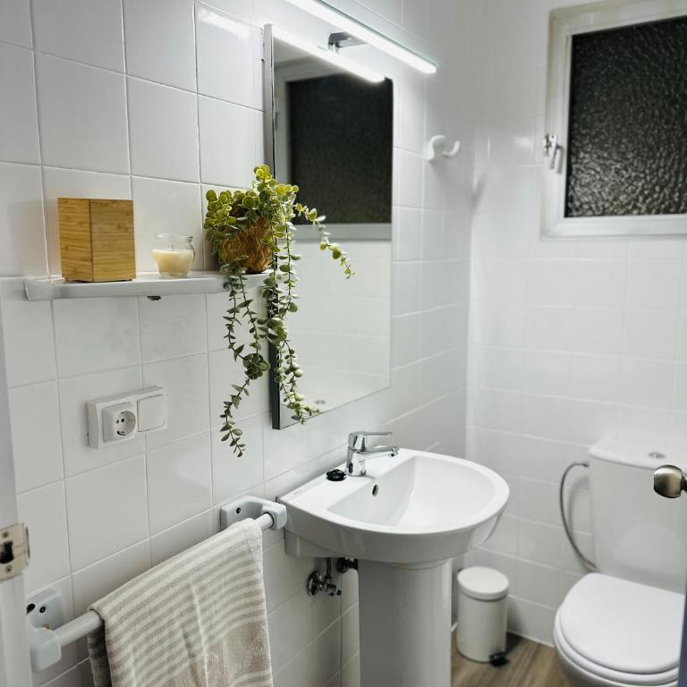 Precioso apartamento de 3 dormitorios con acceso directo a la playa - Apartamento de 3 dormitorios - 8