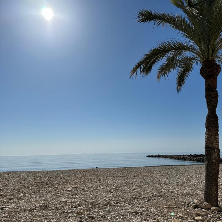 Precioso apartamento de 3 dormitorios con acceso directo a la playa - Apartamento de 3 dormitorios - 19