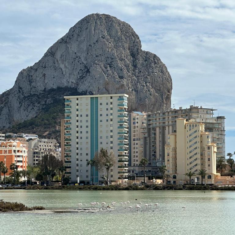 Apartamento Dulce & Saladar Calpe - Apartamento de 1 dormitorio - 21