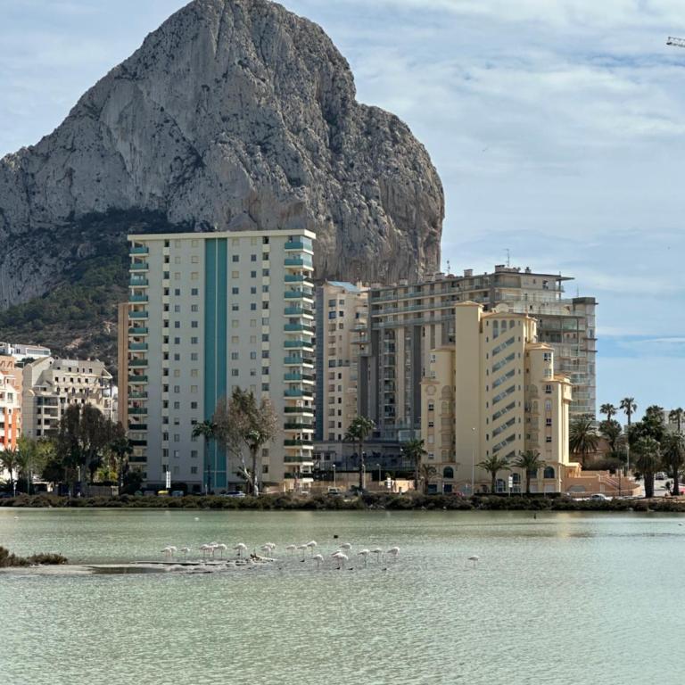 Apartamento Dulce & Saladar Calpe - Apartamento de 1 dormitorio - 10