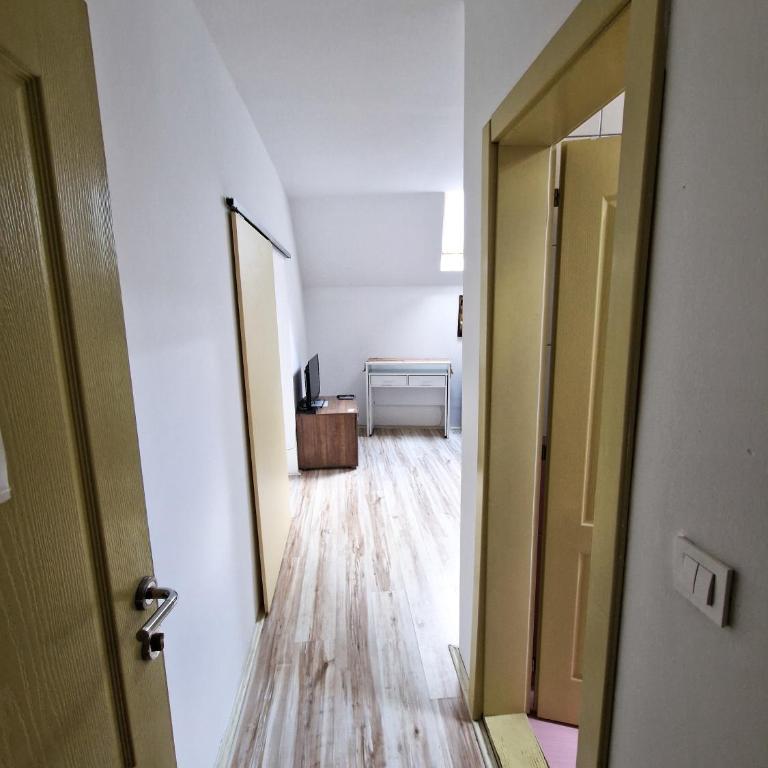 Apartmani Andjelovic - Appartement 1 Chambre - 4