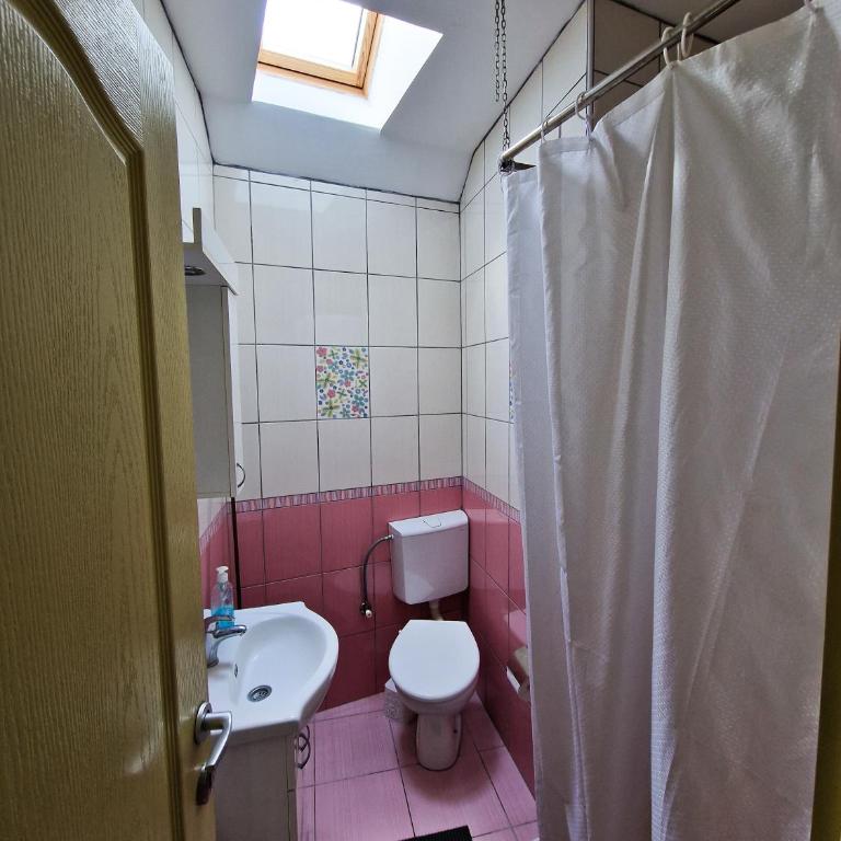 Apartmani Andjelovic - Appartement 1 Chambre - 15