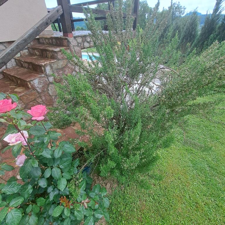 Vikendica Nature park Banja Luka - Kuća sa 1 Spavaćom Sobom - 35