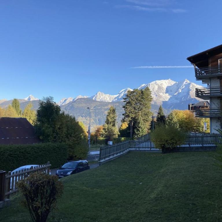 La marmotte: Vue Mont Blanc, terrasse, parking - Appartement 2 Chambres avec Vue sur la Montagne - 18