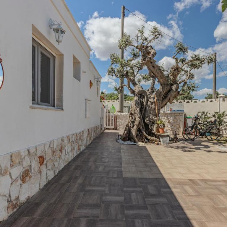 Extravacanza Polignano a Mare - Casa con 2 Camere da Letto - 11