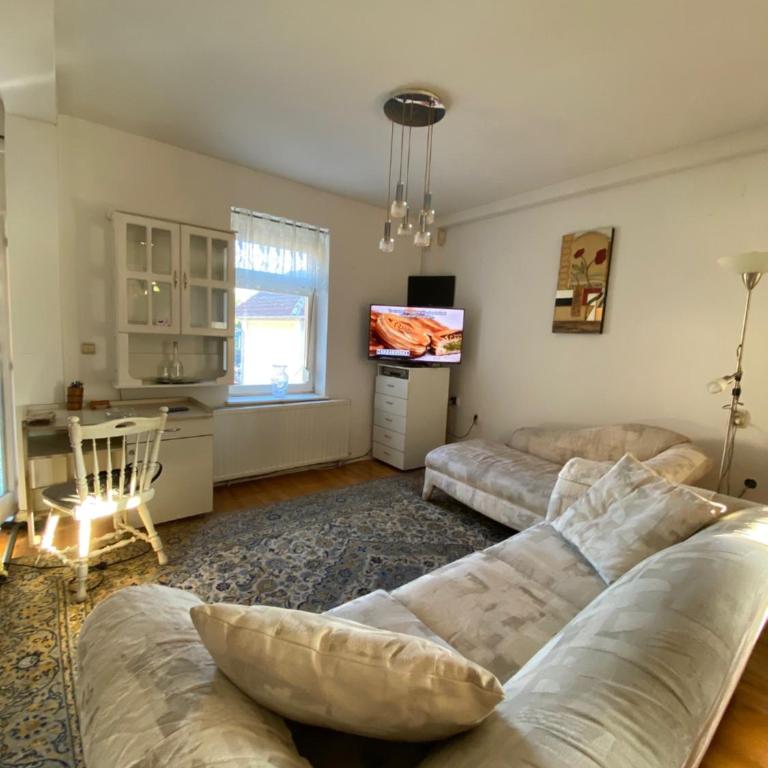 Vila Nada Apartment in Vrnjacka Banja - Apartment with City View - 5