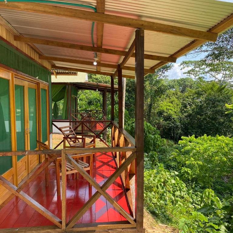 Amazon Açaí Lodge - Habitación Doble - 1 o 2 camas - 1