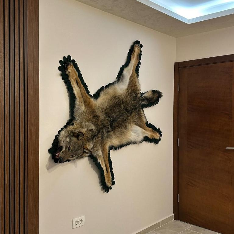 Lux Apartman Jovana - One-Bedroom Apartment - 2