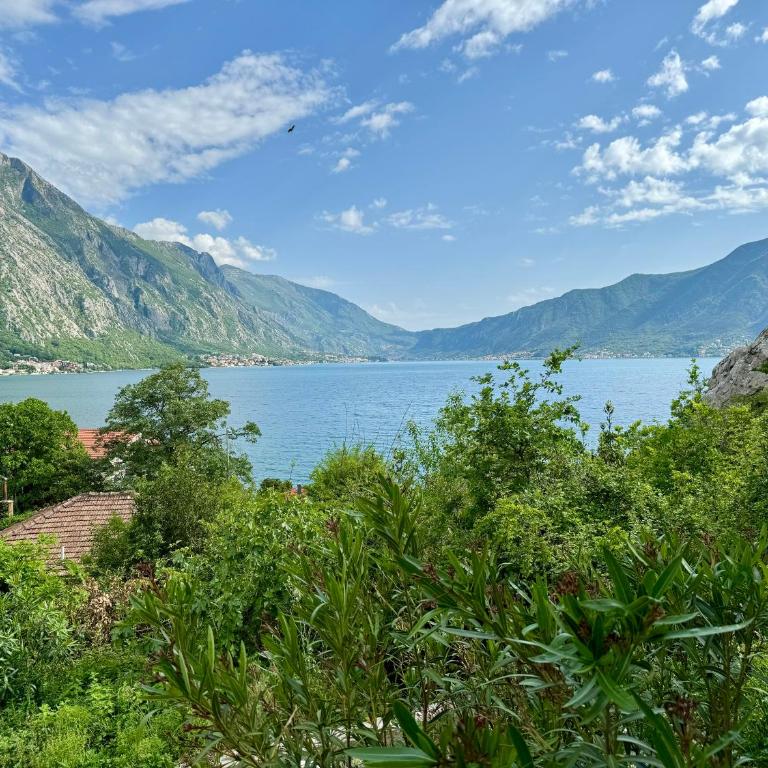 Olea Apartments Orahovac - One-Bedroom Apartment with Balcony and Sea View - 13