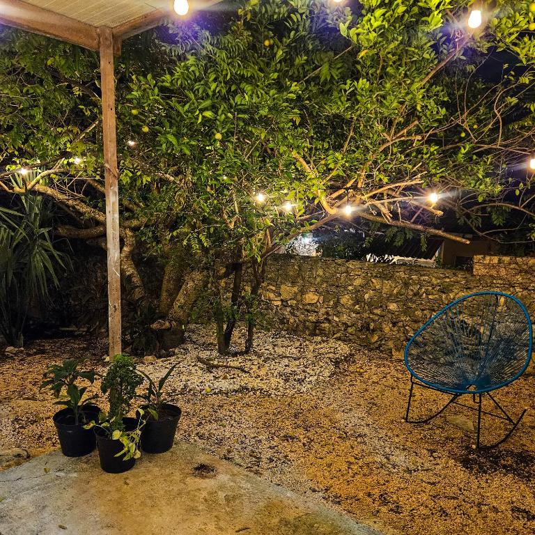 Villa Balche - Villa 2 Chambres - 22