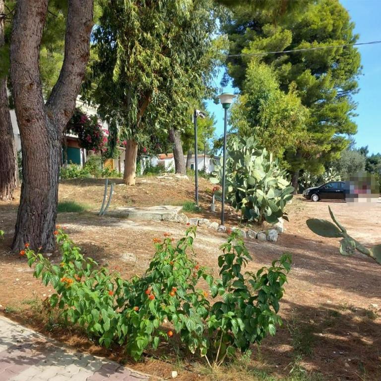 Lovely Apartment In Vieste With Wifi - Appartamento con 1 Camera da Letto - 13