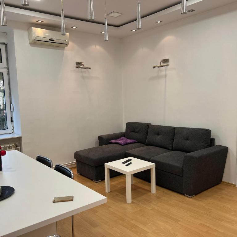 Life & Work in Belgrade Centre with FREE parking! - Apartman sa 1 Spavaćom Sobom - 6