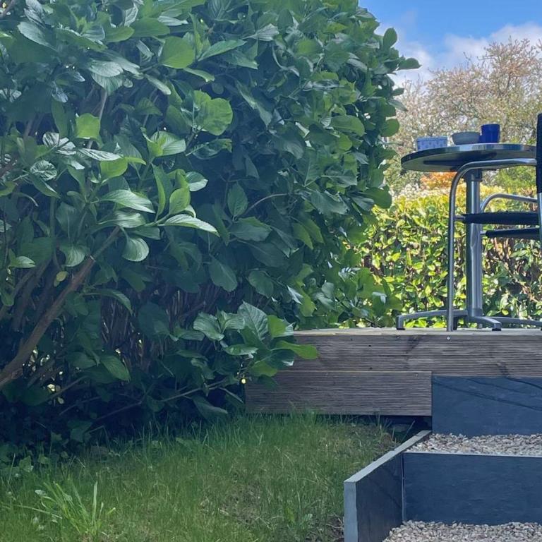 Maison calme avec jardin et Wifi, proche plages Côte de Granit Rose - FR-1-542-64 - Ferienhaus - 6