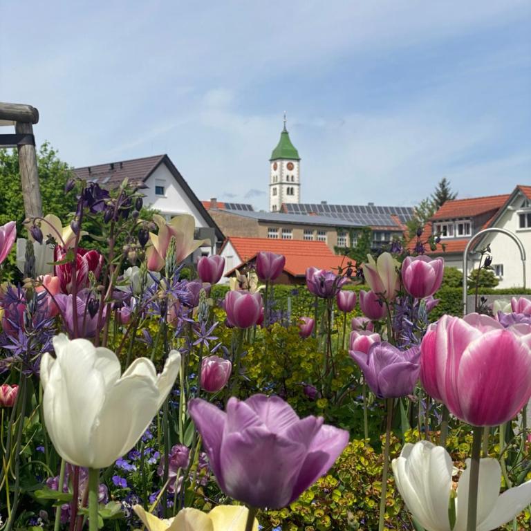 Schöne Wohnung in der Altstadt - Apartment mit 1 Schlafzimmer - 73