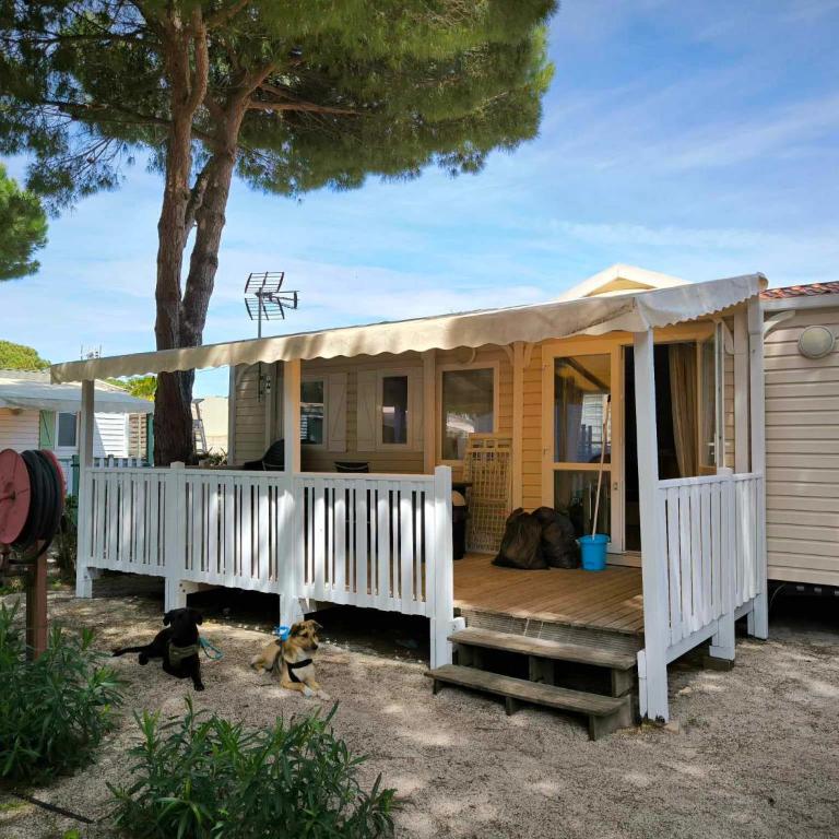 Mobil-home au Camping familial 4 étoiles Les Sables d'Or - Mobile Home - 1