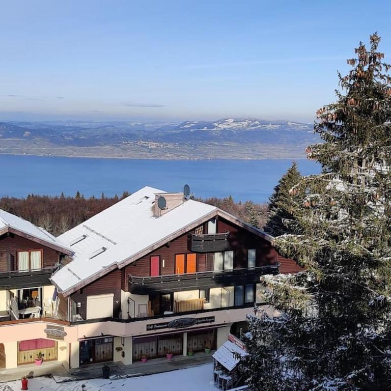 Thollon Appt 8 pers à 50m a pied du télécabine - Appartement 3 Chambres - 15