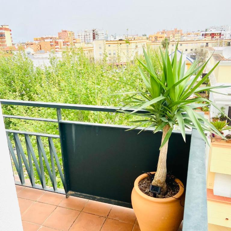 ÁTICO Centro y Playa - Apartamento de 3 dormitorios - Planta Alta - 38