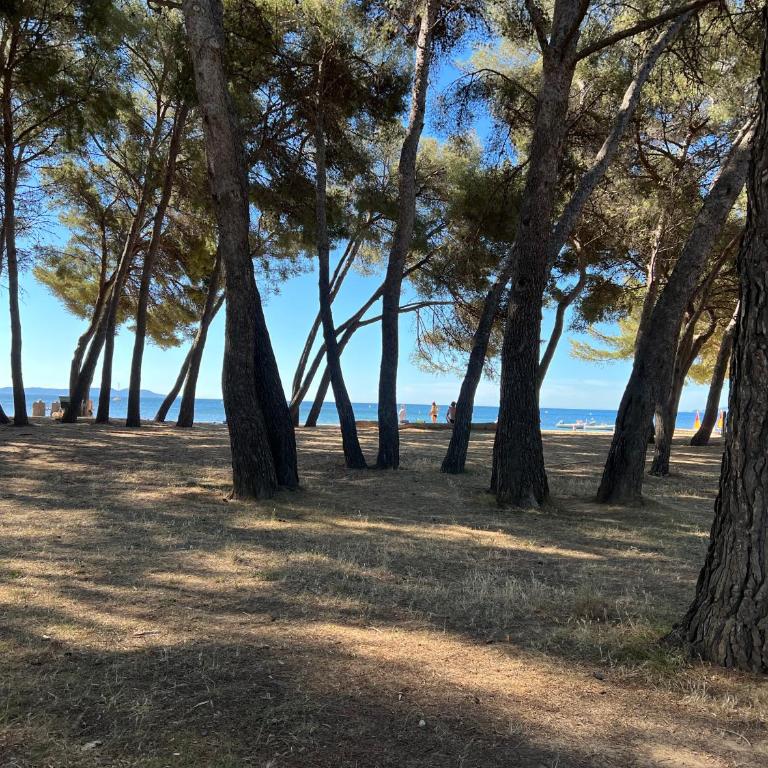 Joli studio très clair à proximité mer pour 3 personnes - Studio - 33