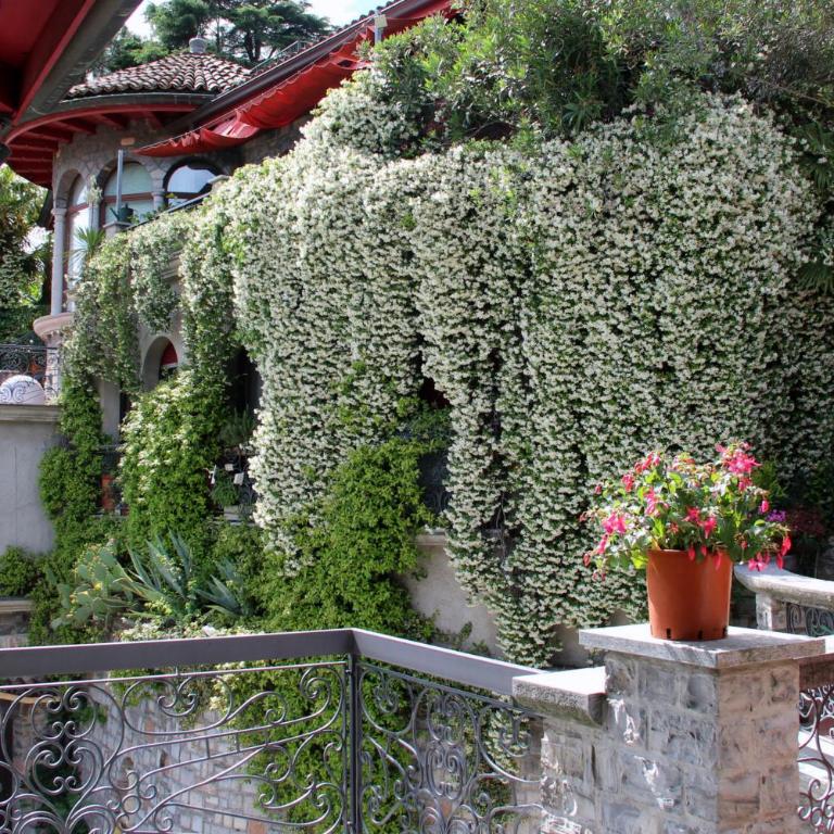 Barony Olive mit Hund - Appartamento con Vista Lago e Giardino - 14