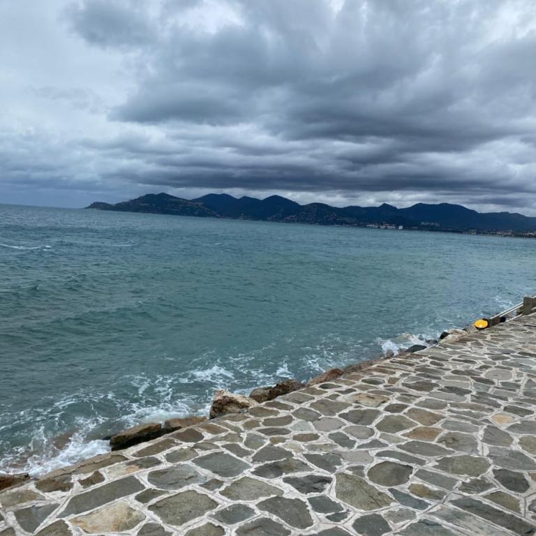 Bord de mer, terrasse, tout à pieds - Appartement 2 Chambres - 36