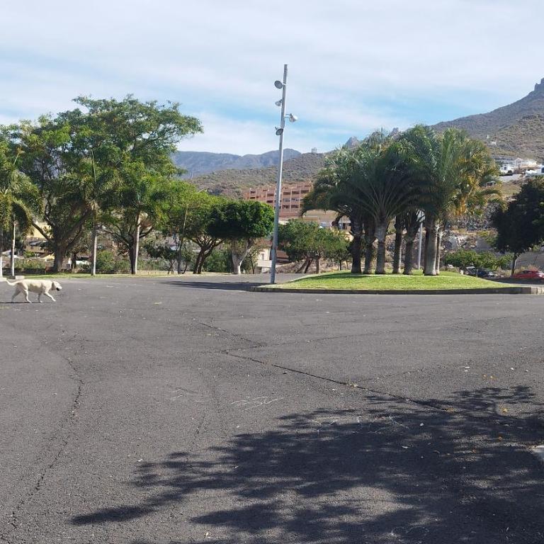 Magic Tenerife - Two-Bedroom Apartment - 34