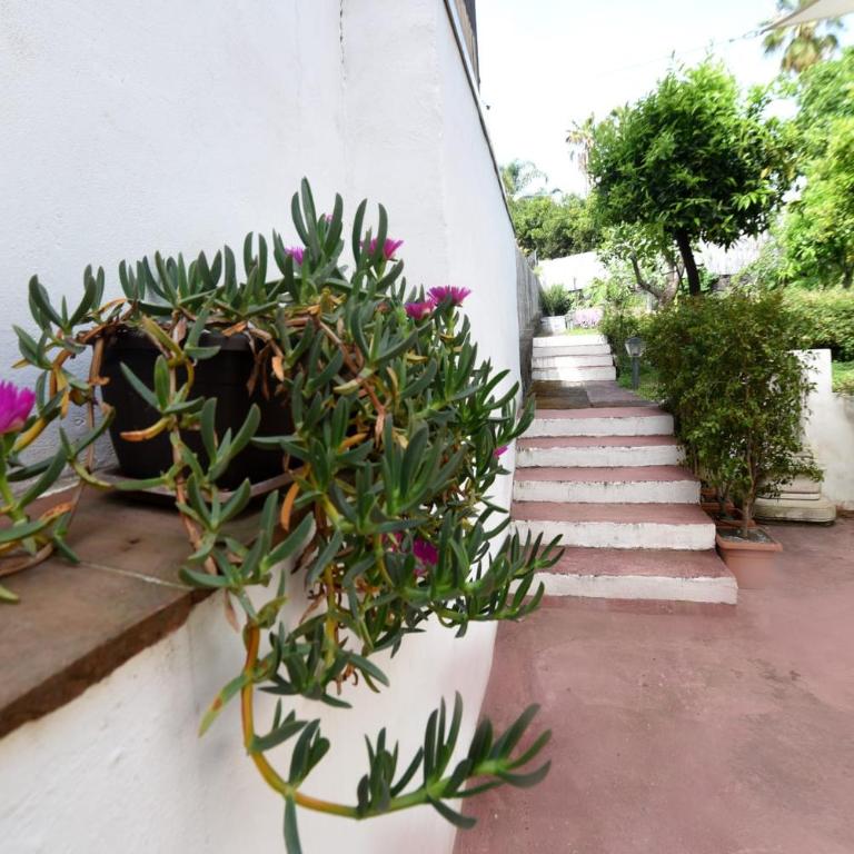 Casa Vacanze Borgata del Sorbo - Casa con 2 Camere da Letto - 3