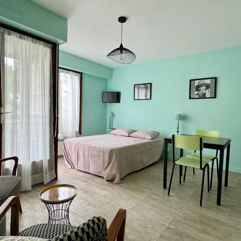 Studio lumineux et fonctionnel à Aix-les-Bains, animaux admis - FR-1-555-10 - Monolocale - 1