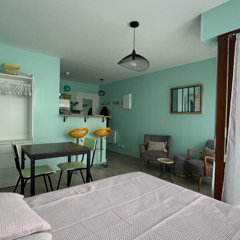 Studio lumineux et fonctionnel à Aix-les-Bains, animaux admis - FR-1-555-10 - Monolocale - 8