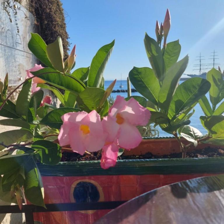 Bettamino Otranto, porta d'Oriente - Appartamento con 2 Camere da Letto - 3