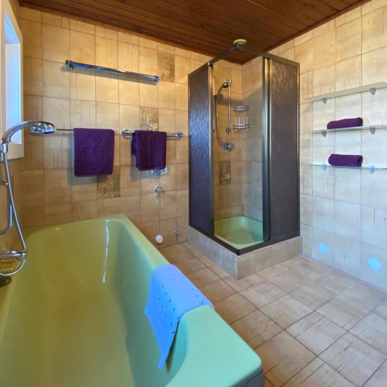 Haus Feldseeblick - Apartment with Sea View - ground floor - 11