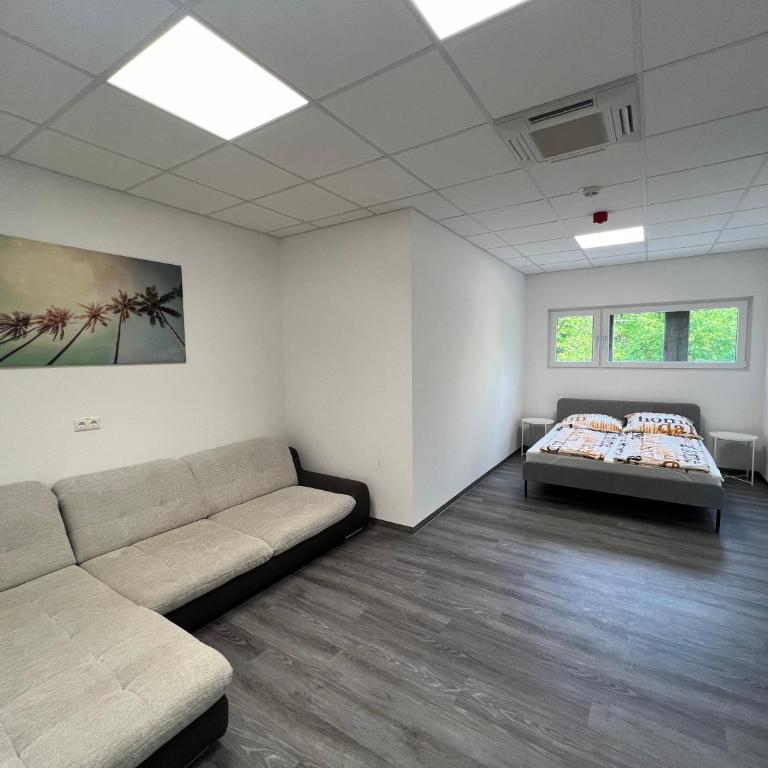 DRIVER ROOMS - Vierbettzimmer - 3